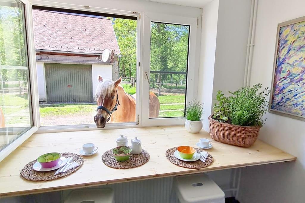 Cosy Family Apartment Райхенау Екстер'єр фото